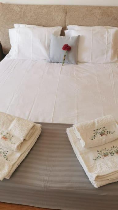 אריסרייה Amazing Lodge By The Ocean - Fully Equipped! מראה חיצוני תמונה