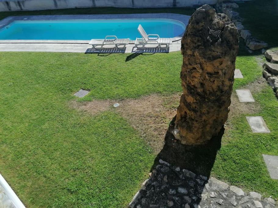 אריסרייה Amazing Lodge By The Ocean - Fully Equipped! מראה חיצוני תמונה
